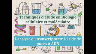 Fiches techniques Lanalyse du transcriptome à laide de puces à ADN [upl. by Cristoforo]