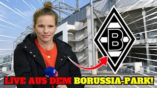 💥BOMBE SONNTAGSNEWS AUS GLADBACH Neuigkeiten von BORUSSIA MGLADBACH Heute [upl. by Loftis855]