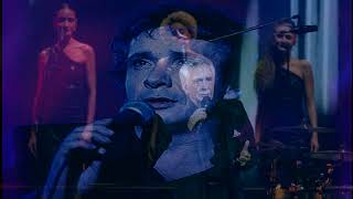 Michel Sardou En Chantant OneManBandcover [upl. by Novi226]