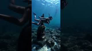 shortvedio snorkeling fypyoutube moalboal cebu [upl. by Ivey60]