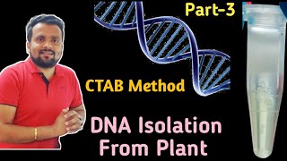 DNA isolation From Plant Part3 [upl. by Ilrahs]