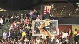 NBA mascot hits halfcourt shot off another mascot [upl. by Yerdua]