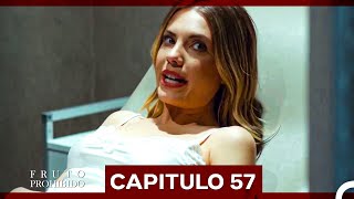 Fruto Prohibido Capitulo 57 Doblado en Español [upl. by Gittel953]