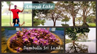 Amaya Lake Dambulla Discovering Sri Lanka’s Lakeside Paradise [upl. by Eednim480]