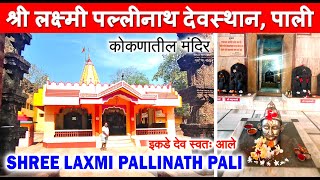 इकडे देव स्वतः आले  श्री लक्ष्मी पल्लीनाथ देवस्थान पाली  Shree Laxmi Pallinath Pali Ratnagiri [upl. by Nyledaj621]