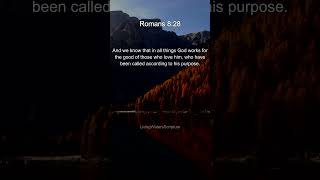 Bible Verse Living Water Scripture  Daily Word of God  Peace and Comfort [upl. by Queenie]