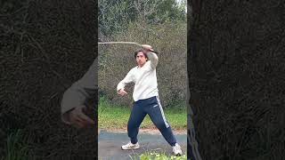 Kung Fu Bullwhip shorts martialarts bullwhip [upl. by Nahtnanhoj429]