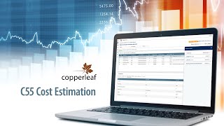 Copperleaf Cost Estimation [upl. by Bean]