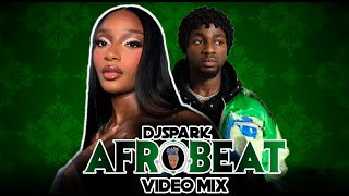 TOP LATEST 2024 NAIJA AFROBEAT VIDEO MIX BY DJ SPARK FT BURNA BOYWIZKIDDAVIDOASAKEOMAH LAY [upl. by Geiss]