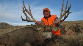 240quot Mule Deer On Antelope Island 39quot Wide  MossBack [upl. by Straus]