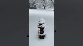 Major snow storm brings a foot plus in some areas of NJ [upl. by Henrion]