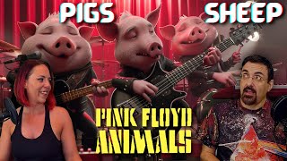 Animals Side 2 Pink Floyd Reaction Pigs Three Different Ones Sheep  Devs first time hearing [upl. by Dennett]