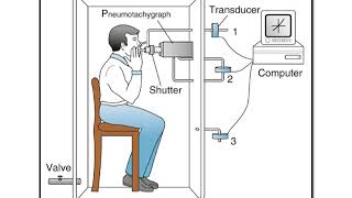 18UBRT24LVC08PULMONARY FUNCTION TESTBODY PLETHYSMOGRAPHYEQUIPMENT AND BASIC OPERATION [upl. by Felicie736]