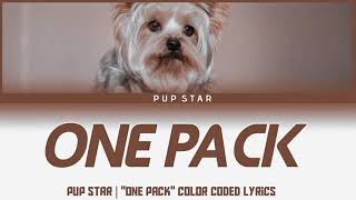 PUP STAR  quotOne Packquot color coded lyrics [upl. by Eicnan643]