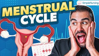 Menstrual Cycle Phases Nursing  Follicular Phase amp Luteal Phase Med Surg [upl. by Gerrilee]