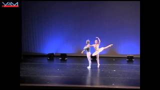 Joseph Gorak ABT La Bayadere Variation YAGP 2006 Age 16 [upl. by Anemij]