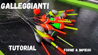 Pesca BologneseTutorial Galleggianti forme e impiego in pesca [upl. by Aneele]