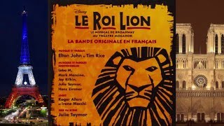 14 Terre dOmbre  LE ROI LION [upl. by Enitsenre]