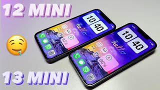 📱iPhone 12 Mini vs iPhone 13 Mini  Which one in 2024 [upl. by Lerud]