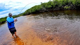 Shallow Water Creek fishing for Mangrove Jack in Australia [upl. by Meeka]