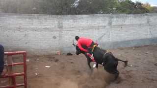 JARIPEO EN EL SALITRE QUERETARO 2014 [upl. by Notyap185]