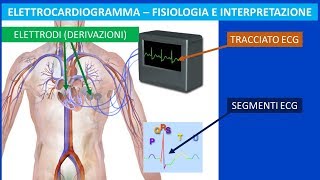 Il cuore lelettrocardiogramma ECG fisiologia ed interpretazione [upl. by Caria]