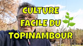 Comment planter le topinambour [upl. by Erdried296]