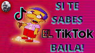 SI TE SABES EL TIKTOK BAILA MILHOUSE2024 bailesito tiktok trends milhouse lossimpson [upl. by Oel]