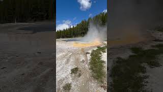 One of the many beautiful Geysers at Yellowstone National Park Wyoming yellowstonenationalpark [upl. by Libenson]