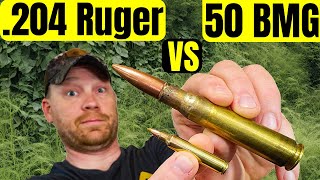 204 Ruger vs 50 BMG  Best Weed Killer [upl. by Otinauj]