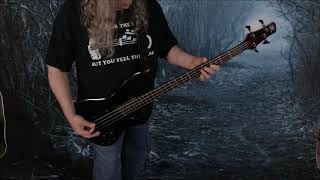 Velvet Revolver  Slither  Bass Cover [upl. by Nimsaj79]