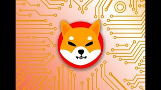 SHIBA INU SHIB  Análise de hoje 15022022 SHIB shibainu XRP ripple BTC bitcoin ETH [upl. by Far382]