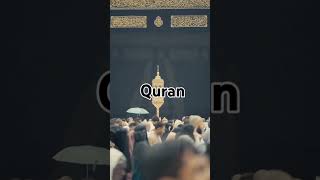 Al Quran status💖 Urdu tarjuna shorts video song [upl. by Jak976]