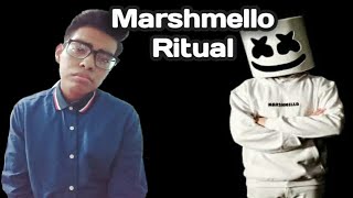 Marshmello  Ritual Cover de Isidro Hernández [upl. by Eillim359]