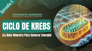 Cap5 Ciclo de Krebs ¡La Ruta Maestra Para Generar Energía [upl. by Baker]