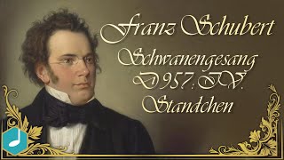 Franz Schubert  Schwanengesang D 957 IV Standchen [upl. by Aleek]