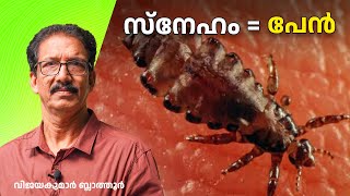 പേനാണ് നമ്മെ സ്നേഹം പഠിപ്പിച്ചത് Head louse facts Human lice Pediculosis louse insects malayalam [upl. by Ohs393]