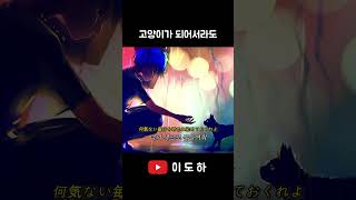 딧슈 네코 커버 DISH 猫 Neko Cover shorts cover neko [upl. by Colline]