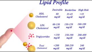 Cholesterol Normal Range ChartLDLHDLTotal Cholesterol Triglycerides Borderline DesirableHigh [upl. by Amol]