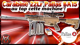 Carabine 22LR PALLAS BA15 Mes changements après 4000 tirs elle est extra [upl. by Notniuqal56]