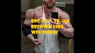 BPC157 and TB500 Review  Tricep surgery recovery [upl. by Hugo]