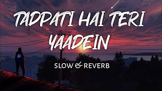 tadpati hai teri baatein slowed  reverb  Aestheticlofimusic  text audio [upl. by Quincy40]