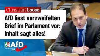 AfD liest verzweifelten BürgerBrief im Parlament vor – Christian Loose AfD [upl. by Llenreb141]