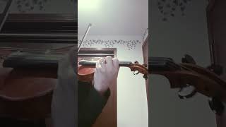 Arensky Violin Concerto Op54 I Allegro [upl. by Eelik]