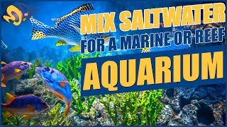 How To Mix Saltwater For Your Aquarium [upl. by Jorie853]