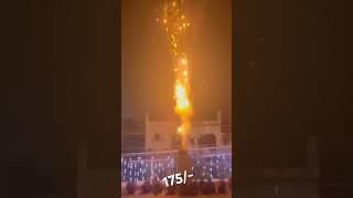 Don’t Buy This ❌ Lion King SkyShot From Gurusami 🔥 Sony Skyshot 🔥 Diwali 2024 fireworks [upl. by Helfand586]