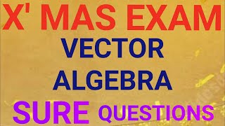 2 MATHEMATICS  XMAS EXAM SPECIALVECTOR ALGEBRASURE QUESTIONSEASY TO SCORE 👍🏻 [upl. by Sucramed584]