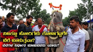 Why are Hallikar Bulls so costly Varthur Santhosh ನಿಜಕ್ಕೂ ಹೋರಿಗಳು ಕೋಟಿಗಟ್ಟಲೇ ಬೆಲೆ ಬಾಳುತ್ತವಾ [upl. by Gyatt]