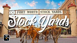 Fort Worth Stockyards  Cowboy Experience [upl. by Cordi]