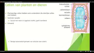 Klas 3 Mavo Thema 1 Organen en Cellen basisstof 3 Cellen van planten en dieren [upl. by Ellehcsar898]